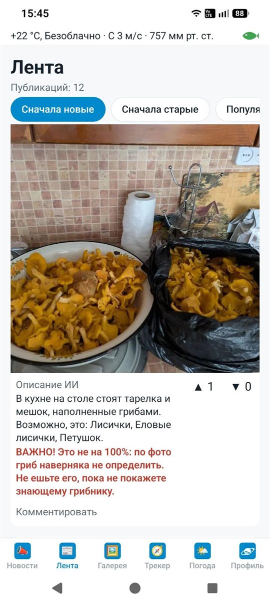 Лента: грибы с описанием ИИ и предупреждением